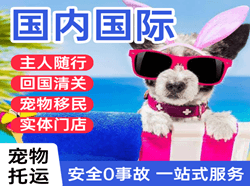 大同航空运输国际宠物托运 【国